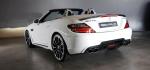 Mercedes-Benz SLK-Class Black Bison by Wald 2014 года